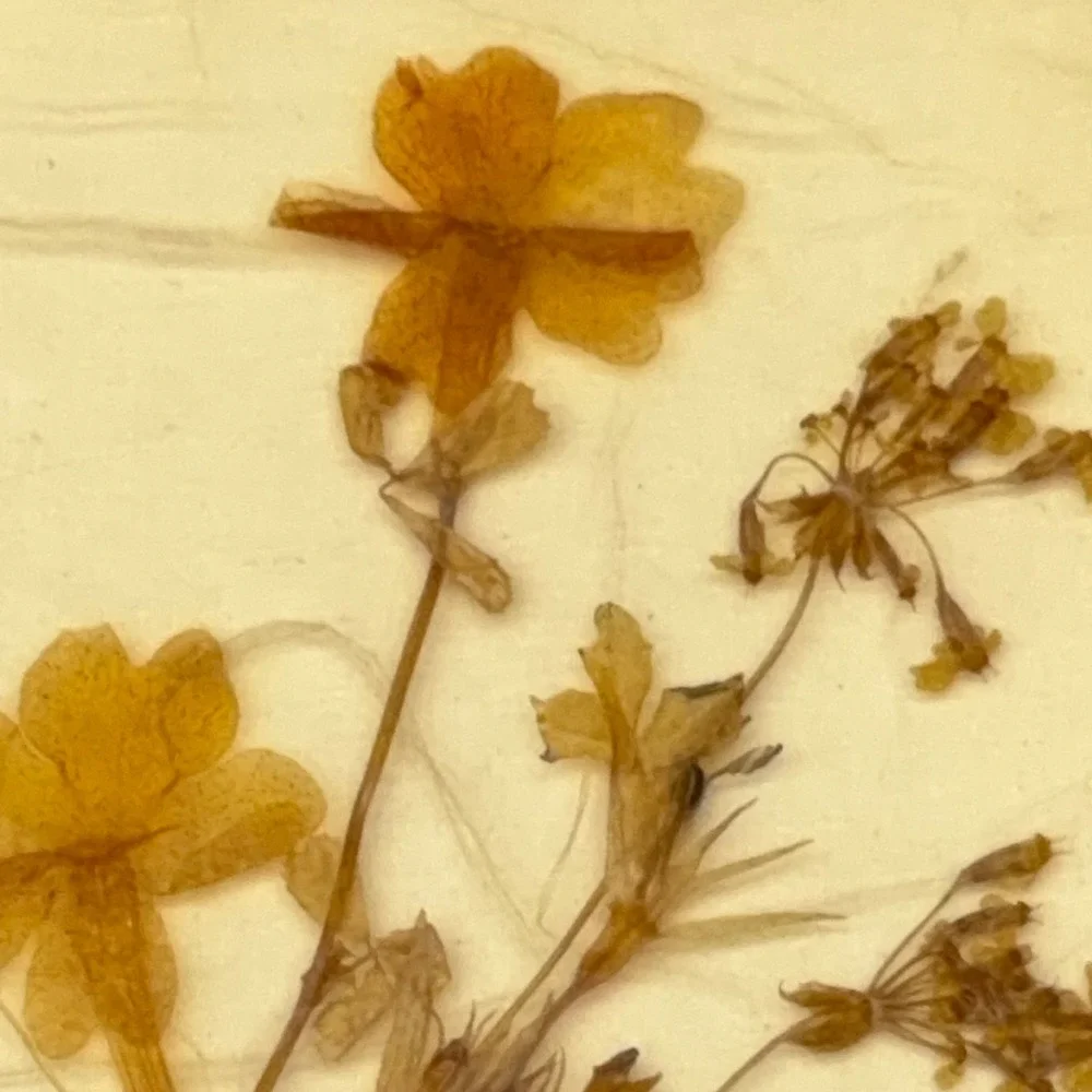 Vintage Dina West Germany Miniature Pressed Flower Art Gold‎ Frame 3.75